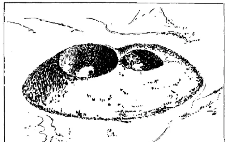 盤點各類地質(zhì)地貌類型-地?zé)豳Y源開發(fā)-地大熱能